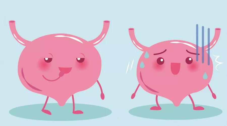 实际上,膀胱胀满时,大脑会下令放水,膀胱,括约肌,盆底肌,尿道等得令