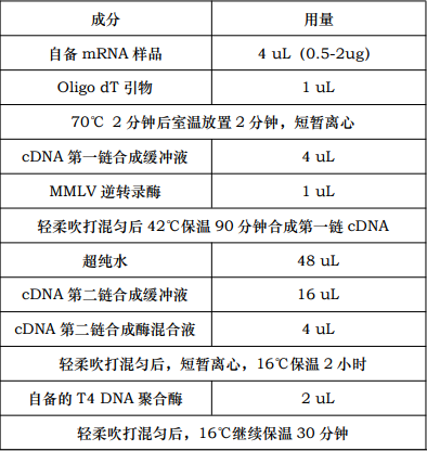 一管式双链cDNA合成试剂盒