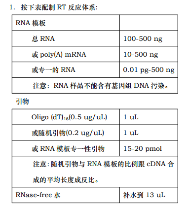 cDNA第一链合成试剂盒