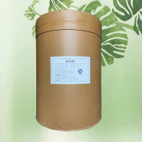 L-茶氨酸生产厂家