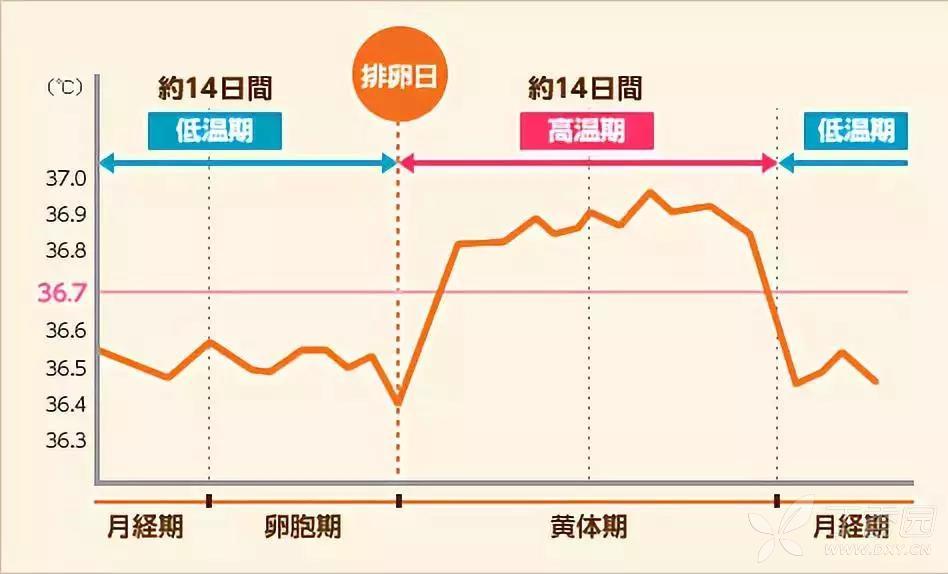 如何升高体温 3325171701461213584-8w.jpg