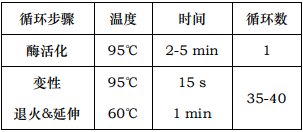即用型荧光定量PCR试剂盒