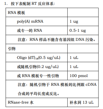 cDNA第一链合成试剂盒