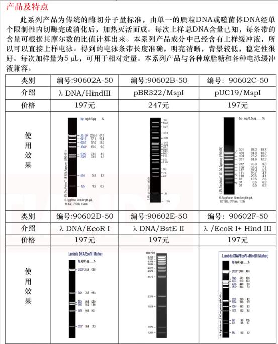 DNA 电泳分子量标准 (3)φX174 DNA/Hae Ⅲ