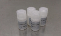 醋酸地加瑞克 Degarelix acetate