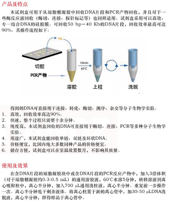 胶回收及 PCR 片段纯化两用试剂盒100 次品牌
