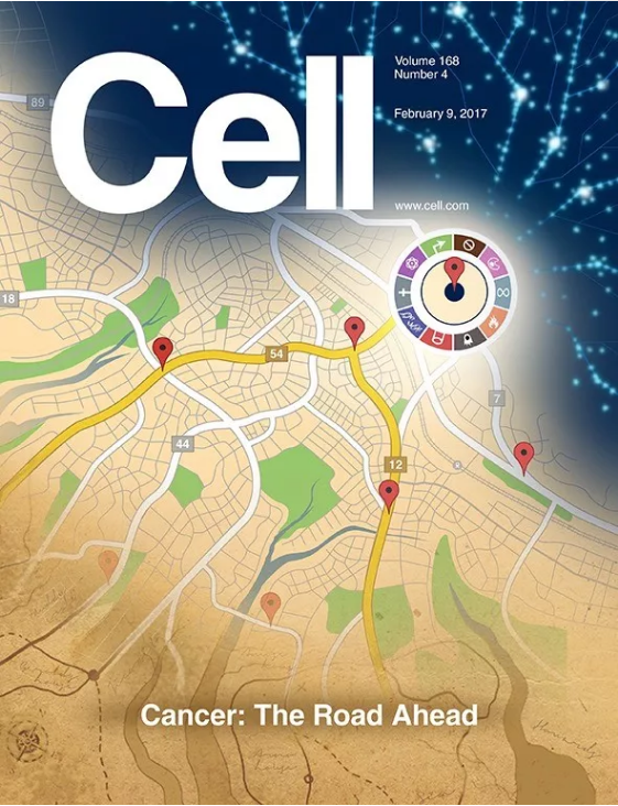 2017 年 Cell 杂志必看的十大亮点封面