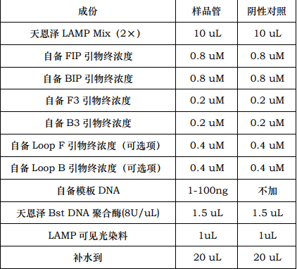 LAMP可见光染料