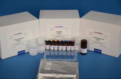 人非神经元性烯醇化酶(NNE)酶联免疫吸附测定试剂盒图片