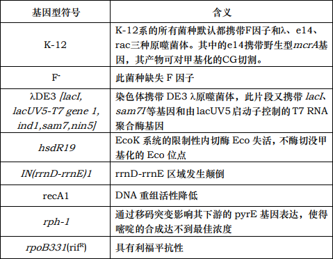 大肠杆菌JM109(DE3)菌种
