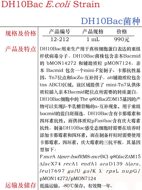大肠杆菌DH10Bac菌种