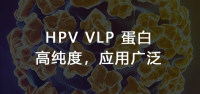 HPV VLP.jpg