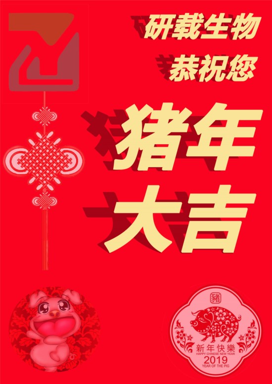 2019年春节放假通知