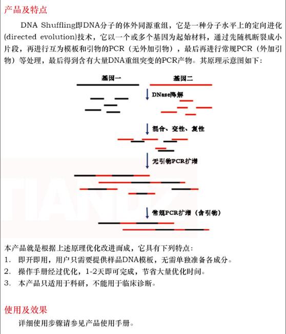 DNA shuffling图片