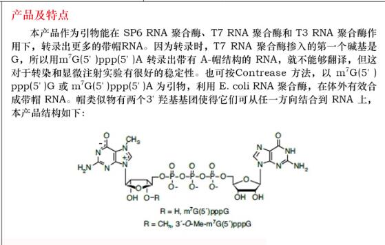 G(5´)ppp(5´)A 帽结构类似物25 OD费用