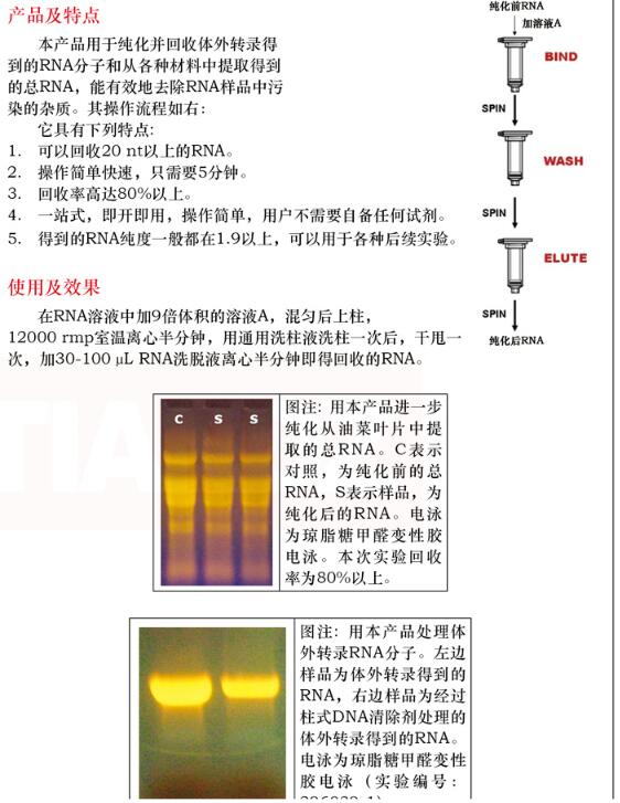 柱式 RNA 纯化试剂盒50 次说明书