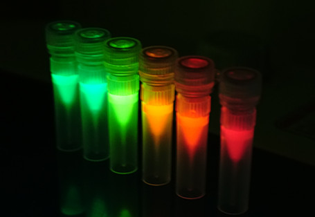 Goat Anti-Rabbit(Fc specific) IgG-QD610