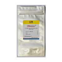 2×SYBR Green qPCR Mix(ROX1 plus)