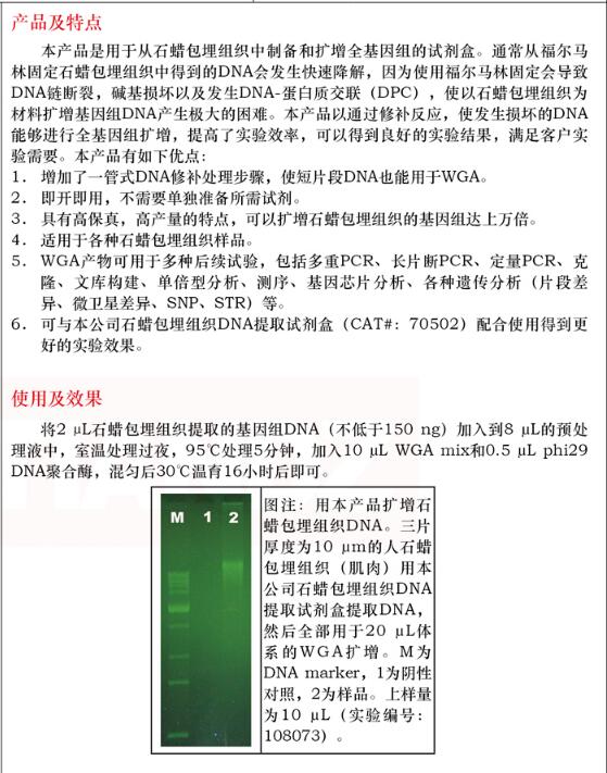 石蜡包埋组织全基因组扩增试剂盒30 次品牌