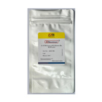 2×SYBR Green qPCR Mix(ROX2 plus)