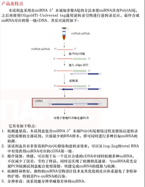 miRNA 荧光定量检测试剂盒25 次说明书