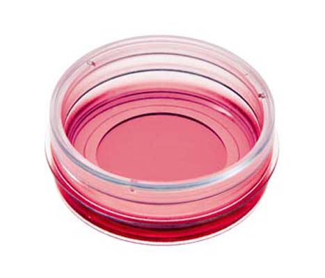 玻璃底35mm共聚焦培养皿81218