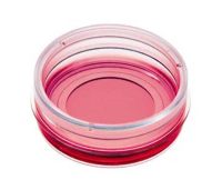 玻璃底35mm共聚焦培养皿81218