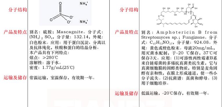 可溶性两性霉素 B 溶液 ,20mg/mL1mL品牌