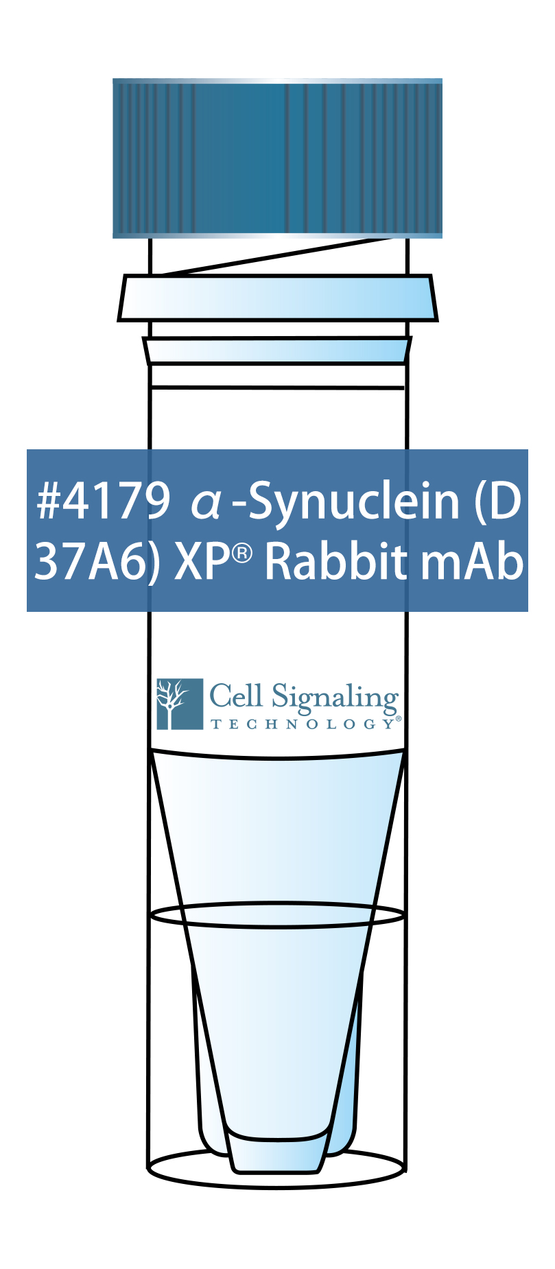 α-Synuclein (D37A6) XP Rabbit mAb