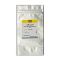 EZ-press microRNA加尾法逆转录试剂盒（小包装）