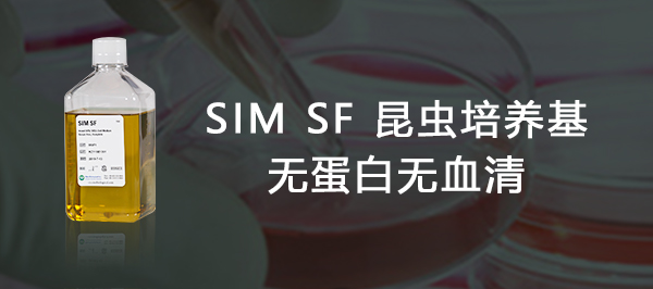 有没有专用于昆虫细胞High Five培养的无血清细胞培养基呢？