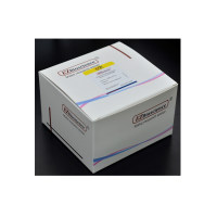 血清血浆外泌体提取试剂盒（用于粒径和电镜检测）