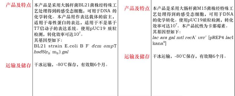 M15 感受态细胞0.1 mL×10品牌