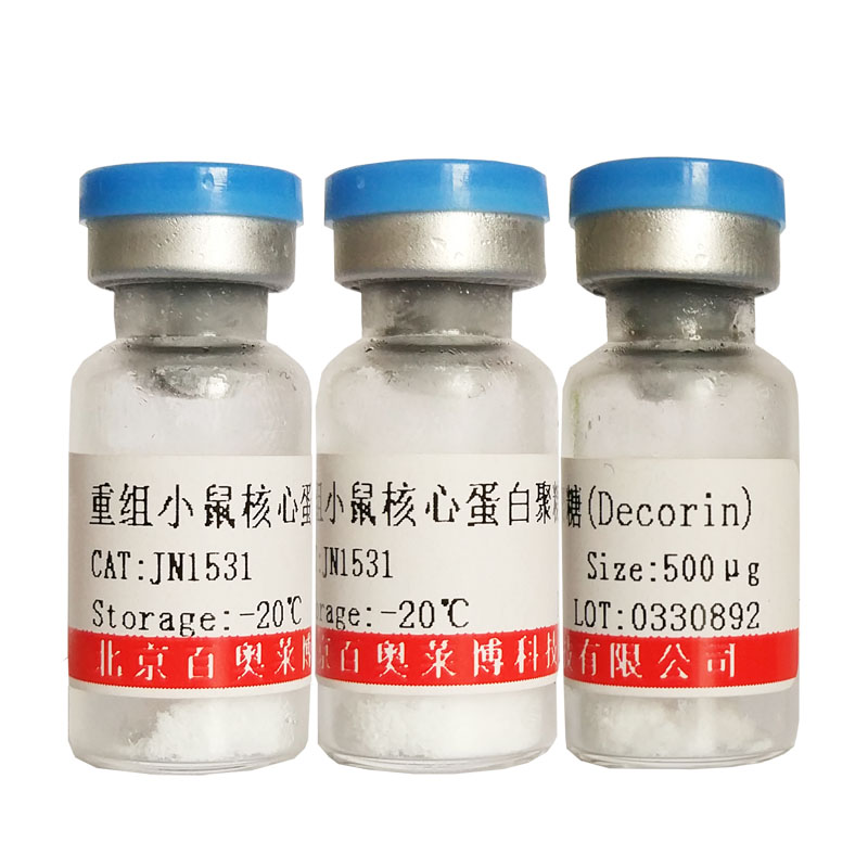 重组大鼠Serpin A12(Vaspin)(脂肪特异性丝氨酸蛋白酶抑制剂)