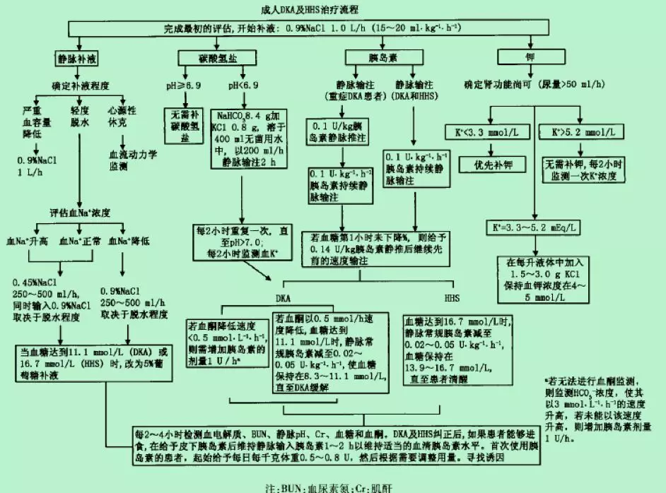 Dka 补液用糖 胰岛素 血糖13 9 还是11 1