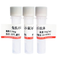 小鼠抗人CD61单抗