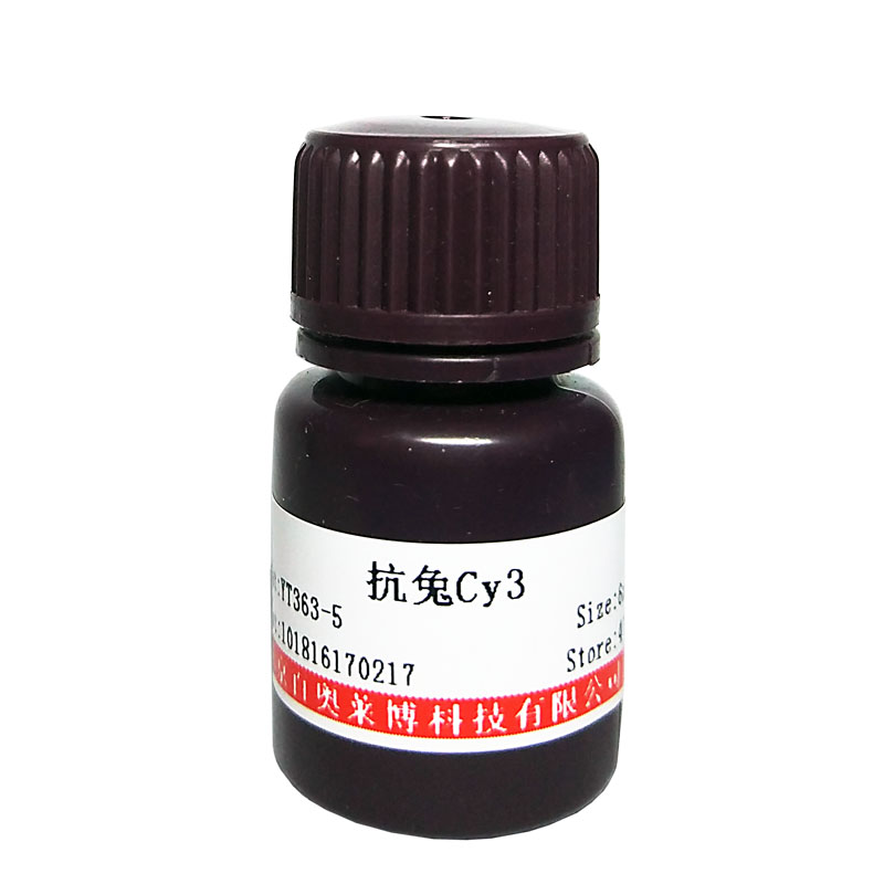 Tris缓冲盐溶液(10×TBS,pH7.4)