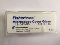 Fisher 12-545-83 圆形，直径15 mm细胞培养皿盖玻片