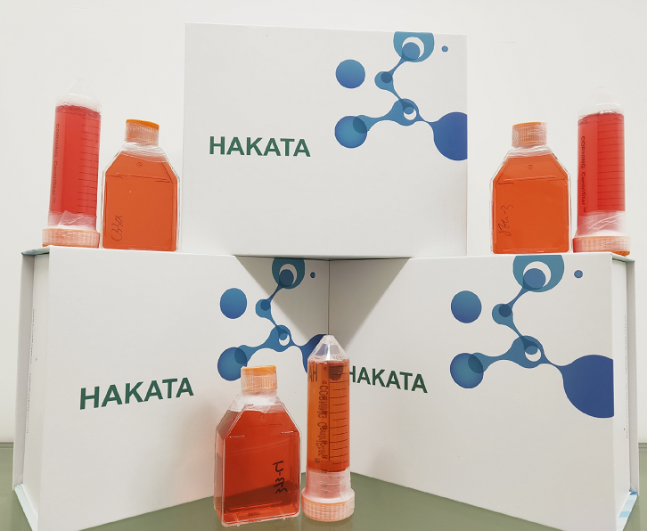 SV-HUC-1细胞|人输尿管上皮永生化细胞| SV-HUC-1细胞