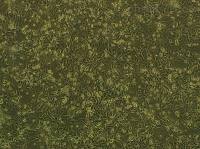 BHK-21(幼仓鼠肾传代细胞)