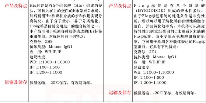 小鼠抗 Flag 标签单抗100μL品牌