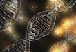 辉瑞阿瓦斯汀仿制药 bevacizumab 获欧盟批准