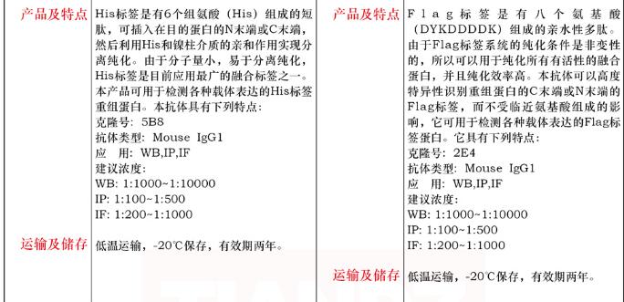 小鼠抗 His 标签单抗100μL费用