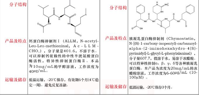 E-64 蛋白酶抑制剂，20mg/mL10mL说明书