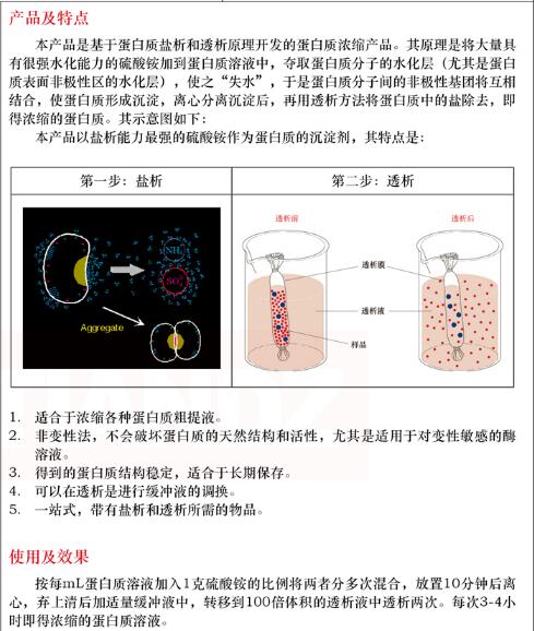 非变性法蛋白沉淀试剂盒10 次规格
