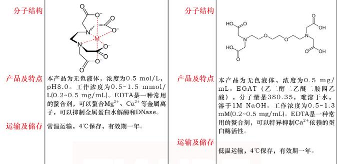 EGTA 溶液 ,0.5mg/mL, 蛋白级10mL规格
