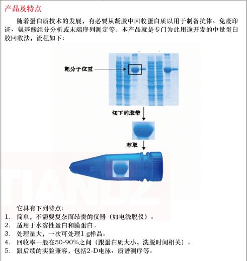 蛋白胶微量回收试剂盒50 次品牌