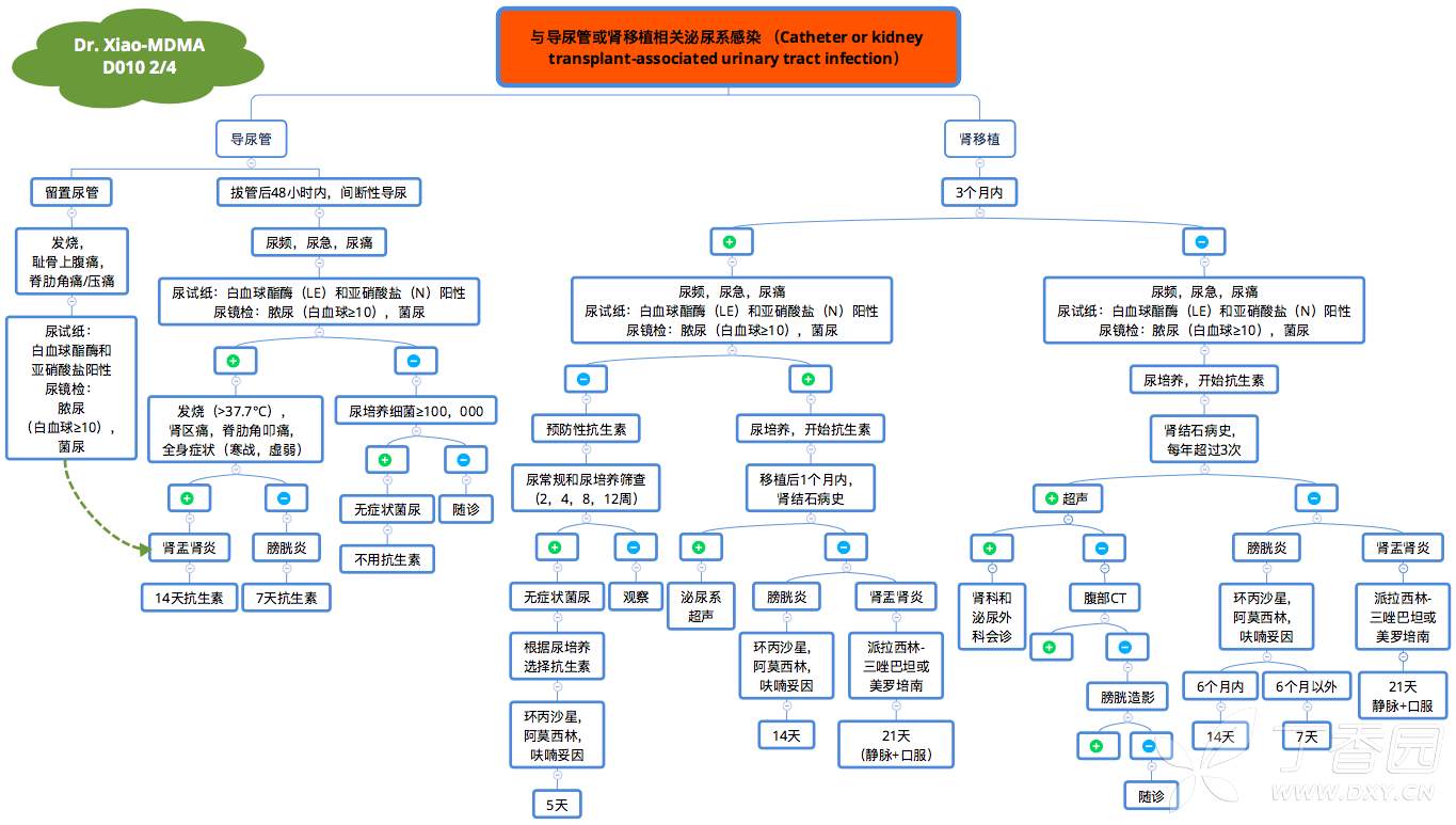 全科醫療 帖子詳情 常見成人泌尿系感染臨床決策思維導圖(mdma): 成人