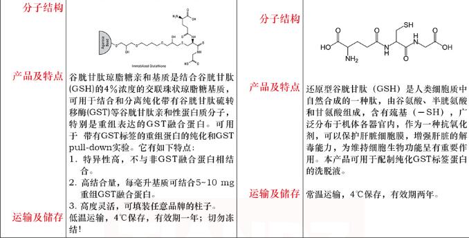 谷胱甘肽琼脂糖2mL规格