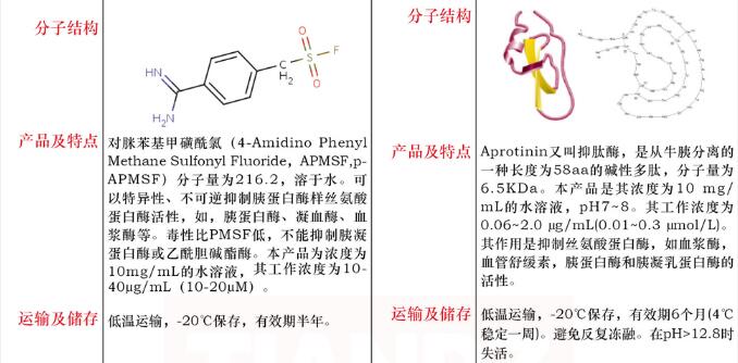 钙蛋白酶抑制剂Ⅰ溶液，10mg/mL10mL说明书